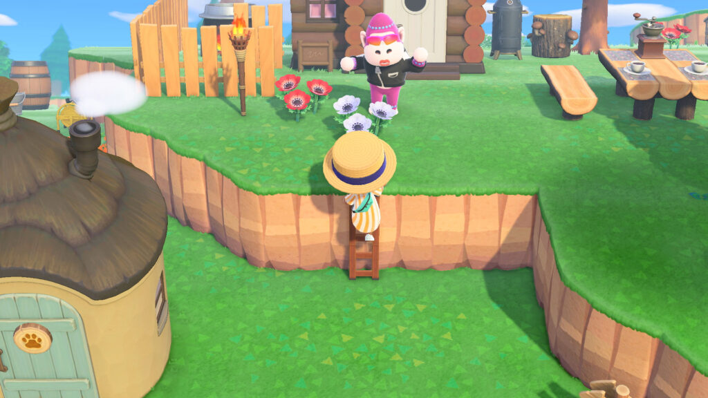 how to get a ladder in animal crossing